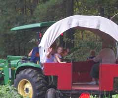 Tractor Ride